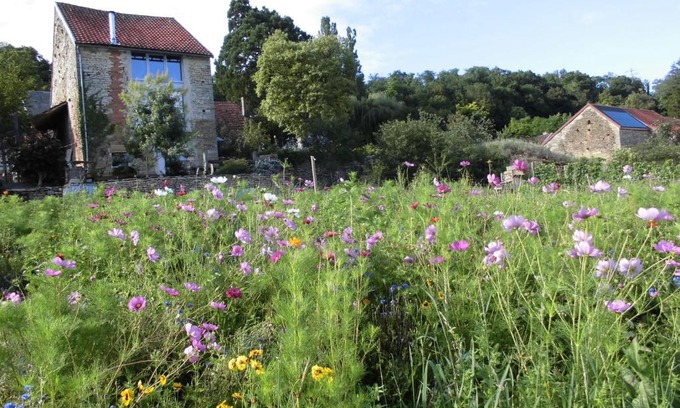 Mont-Saint-Jean Casa | Vineyard Garden Studio