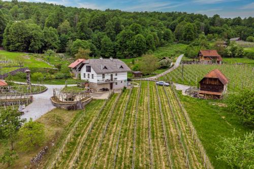 Crnomelj Casa | Vineyard Homestead Vrtin - Happy Rentals