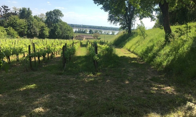 Bourg-sur-Gironde Casa | Vineyard house, on the estuary shore