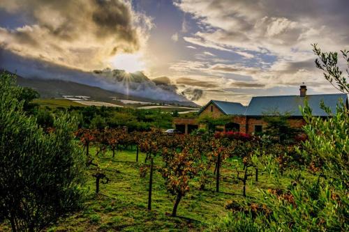 Riebeek Kasteel Casa | Vineyard Views Country House
