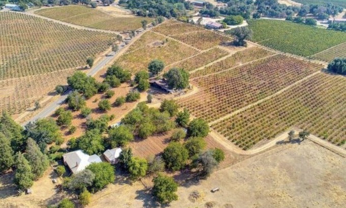 Shenandoah Valley Otro | Vintage Farmhouse on 50 acres surrounded by vineyards - Farmhouse experience