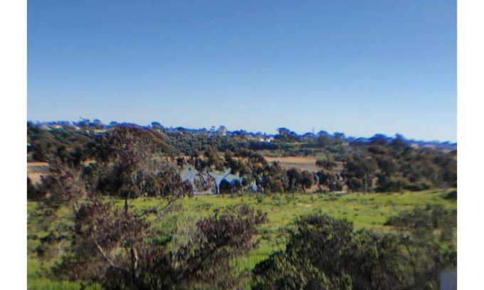 Fire Mountain Apartamento | Vintage granny flat 1 mile to beautiful beach