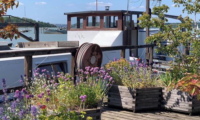 Pin Mill Alquiler De Eote | Vintage Houseboat / Beautiful Views