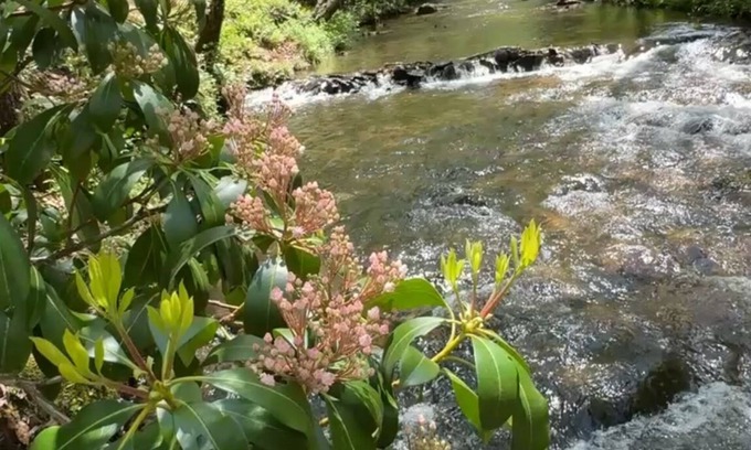 Hiawassee Cabina | Vintage Luxury Cabin Creekside with Game Room, Water Front, Hot Tub, Wi-Fi
