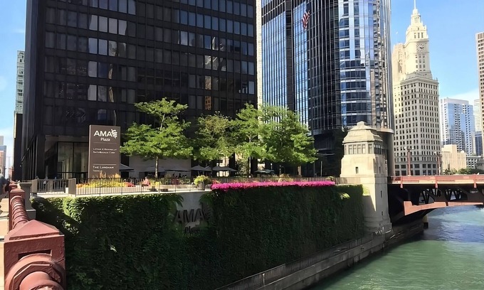 Downtown Chicago Complejo | Visit Chicago! 4 Modern Units near 360 Chicago and Oak Street Beach! Parking!