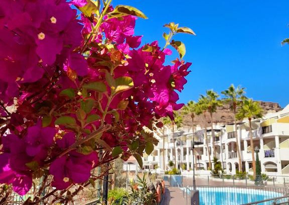 Mogan Apartamento | Vista Bella - Planta baja al lado de la piscina - Ground floor by the pool