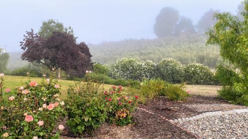 San Miguel Casa | Vista Vine Cottage