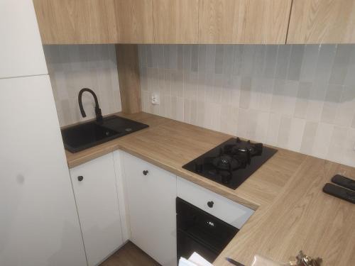 Plock Apartamento | Vistula Flat