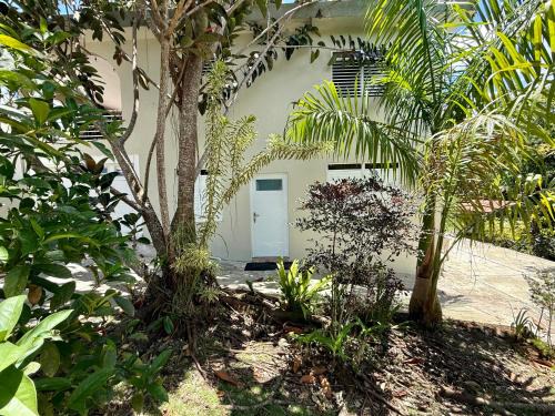 Cidra Apartamento | Vive el encanto del campo