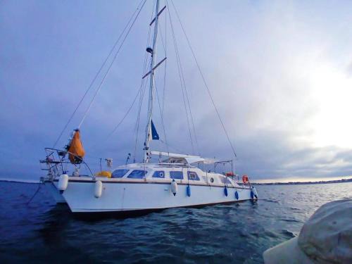 Marseillan Alquiler De Eote | Vivez une expérience insolite sur notre grand catamaran de 12m au mouillage en face de Marseillan