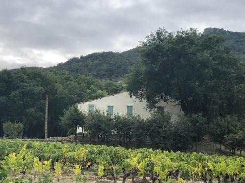 Laroque-des-Alberes Casa | Vivez une expérience inoubliable en Catalogne
