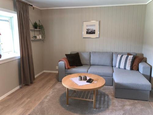 Skulestad Apartamento | Voss apartment