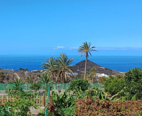 Alojera Apartamento | Vv - Casa Clary -Finca Medina