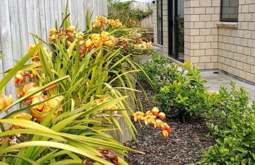 Albany Apartamento | W&M Orchid House