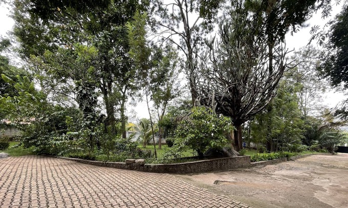 Mwanza Casa | Wag Hill Homestay
