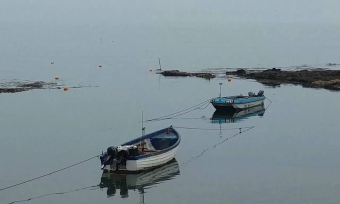 Stonehaven Cama Y Desayuno | Wagtail Lodge Boutique Country House B&B, Stonehaven