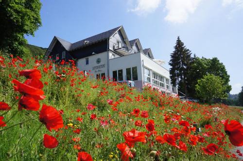 Olsberg Hotel | Waldhotel Schinkenwirt