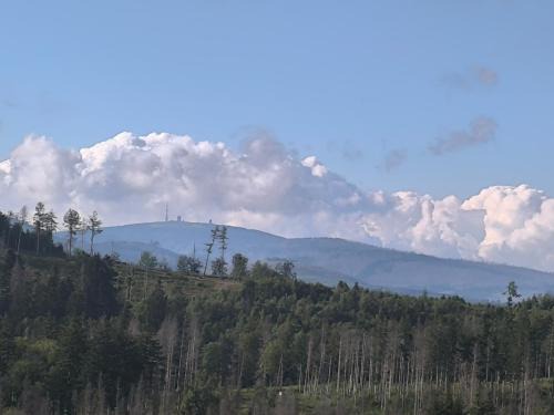 Hohegeiß Apartamento | Waldperle Brockenblick im Panoramic Oberharz
