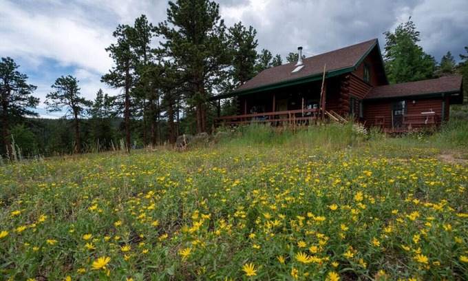 Crystal Lake Cabina | Warm Woodland Getaway with Land