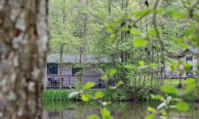 Pevensey Cabina | Warren wood Country Park