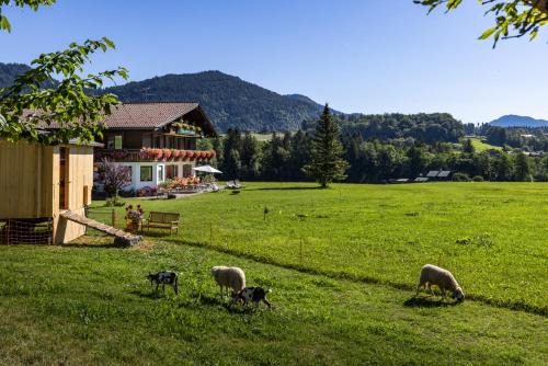 Bischofswiesen Casa | Wassererlehen