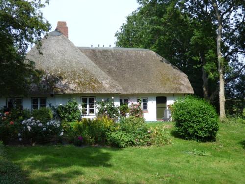 Wasserkoog Casa | Wasserkoog 22
