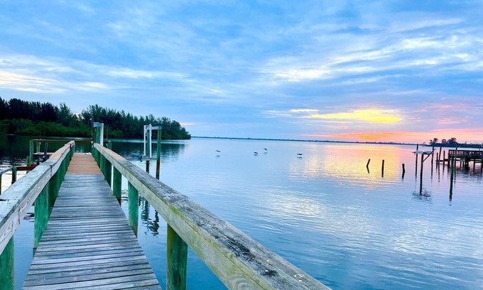 Sebastian Casa | watch dolphins/manatees/birds