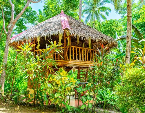 Loboc Cama Y Desayuno | Water to Forest Ecolodge