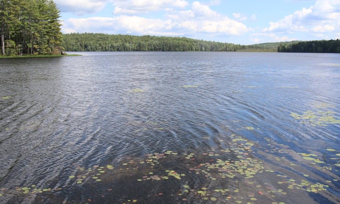 Fitzwilliam Cabaña | Waterfront Cottage on Scenic Sportsman Pond
