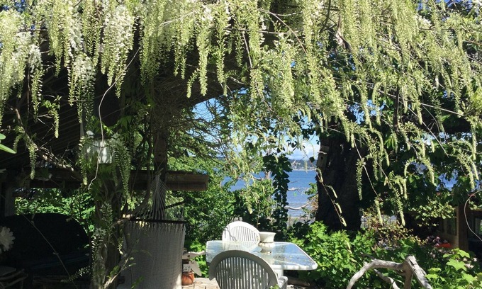 Courtenay Casa | Waterfront Getaway while visiting family, near Bike Trails, and Nature Walks.