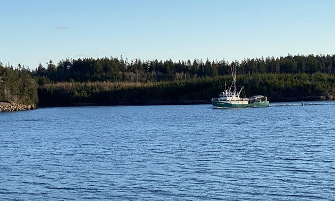Blacks Harbour Casa | Waterfront House, Starlink internet, good parking lot, 2 bedrooms