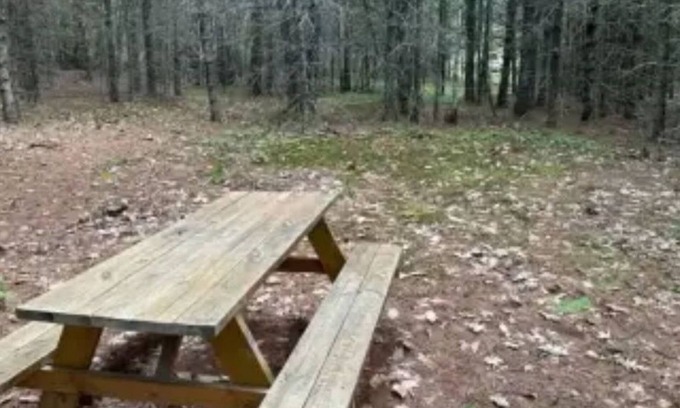 Limerick Cabina | Watersrock Woods Camp Site 2
