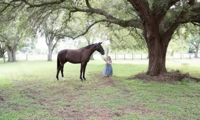Buckingham Otro | ⭐️Wedding&Event⭐️Content House⭐️ Family&Couple Retreat⭐️Horse Lover’s Dream⭐️