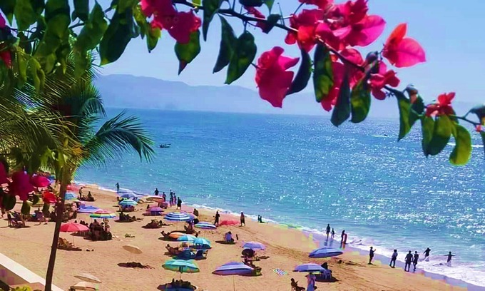 Colonia 5 de Diciembre Condominio | WEEKLY~MONTHLY RENTAL~OCEAN FRONT~WALK 2 BEACH~MALECON ~COUPLES GET AWAY~2 POOLS