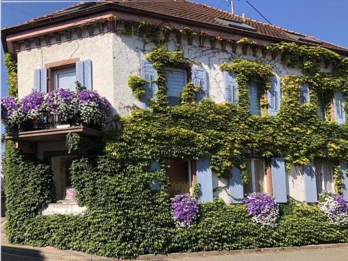Oberrotweil Apartamento | Weinberg-Ferienwohnung, Oberrotweil