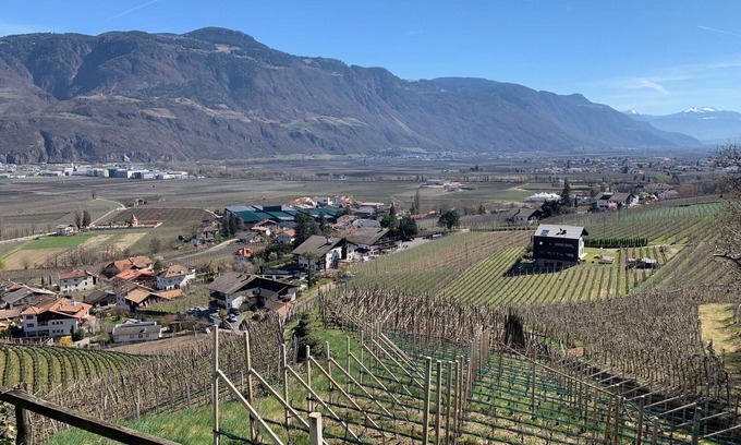 Cermes Apartamento | Weingut Bachgütl - Vacation on a beautiful piece of earth