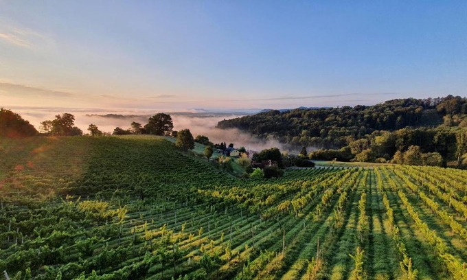 Lang Apartamento | Weingut & Ferienwohnungen Lenhard