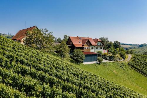 Glanz an der Weinstrasse Cama Y Desayuno | Weingut Juritsch