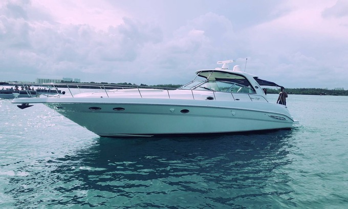 West Little Havana Alquiler De Eote | Welcome aboard Carpe Diem Yacht