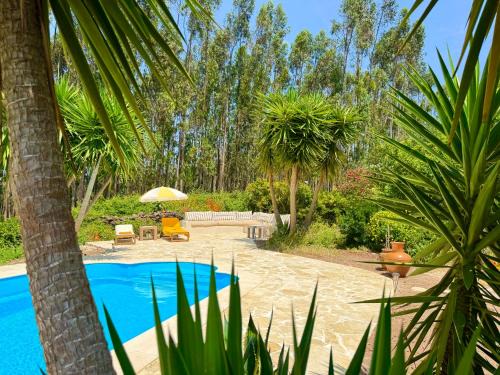 Alvaiazere Cama Y Desayuno | Wellbeing guesthouse Casa é Connosco