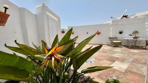 Bahia Calma Apartamento | Welooveyou Honey