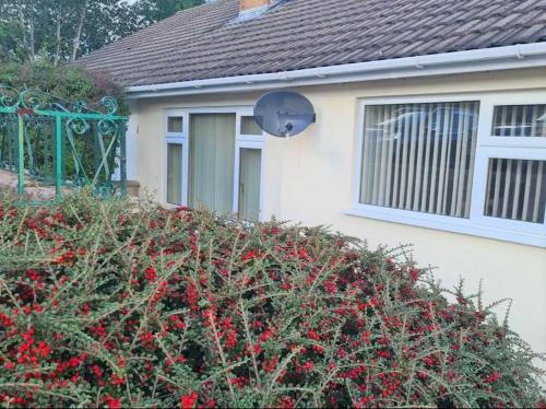 Holywell Casa | Wenford Dorma Bungalow