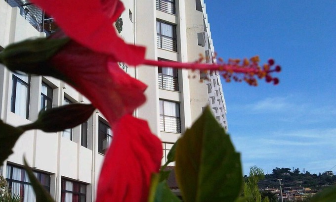 Kadnlar Denizi Mahallesi Hotel | West Ada Inn Hotel