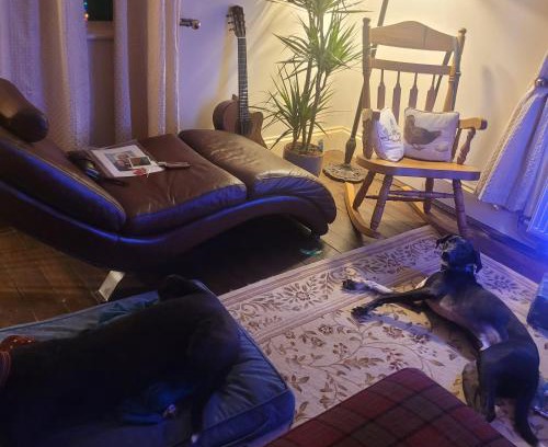 Marton-in-Cleveland Apartamento | West side