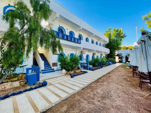 Dahab Hotel | whales camp dahab