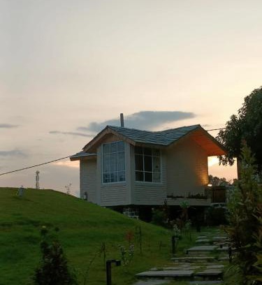 Bail Parao Complejo | whispering roots resort