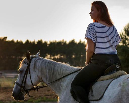 Scinawa Casa | White Pony agroturystyka i stajnia