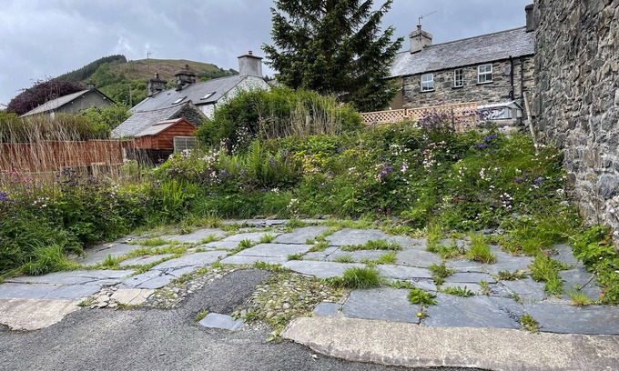 Penmachno Cabaña | White Roses Retreat