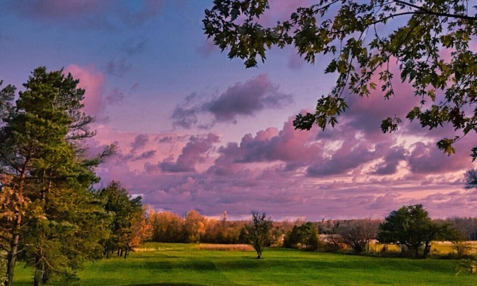 South Bruce Peninsula Cabaña | Wiarton Secluded Cottage · Secluded Cottage | Rustic | Trails | BBQ | Firepit