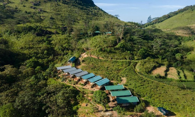 Medadumbara Otro | Wild Glamping Knuckles - Thema Collection